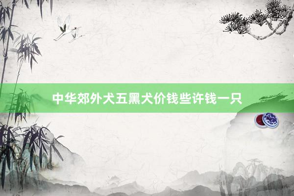 中华郊外犬五黑犬价钱些许钱一只