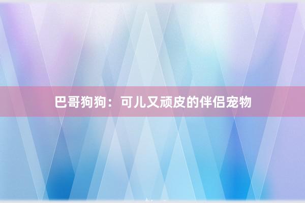巴哥狗狗：可儿又顽皮的伴侣宠物
