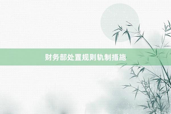 财务部处置规则轨制措施